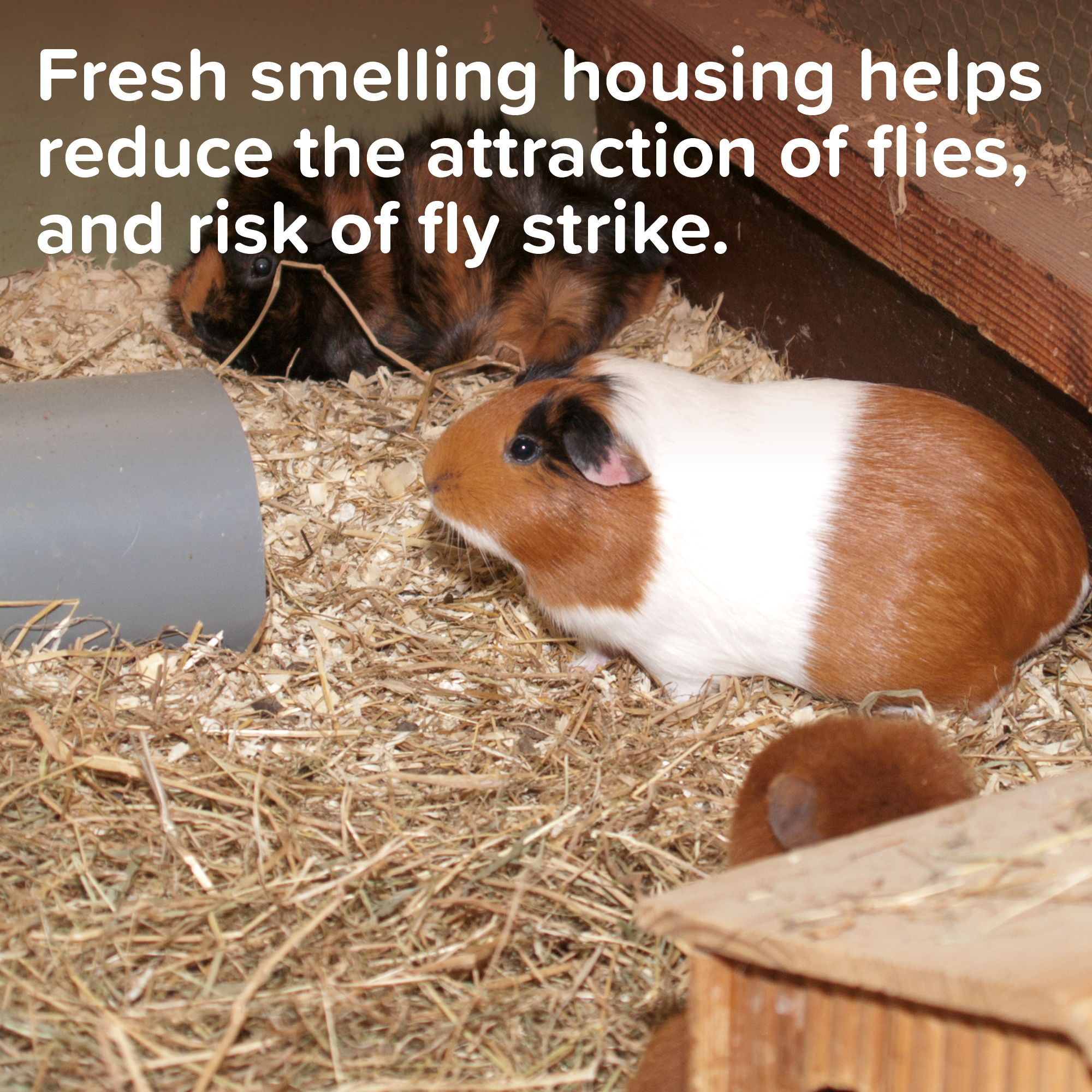 Beaphar Cage Fresh Granules for Cages, Hutches & Litter Trays – 600g