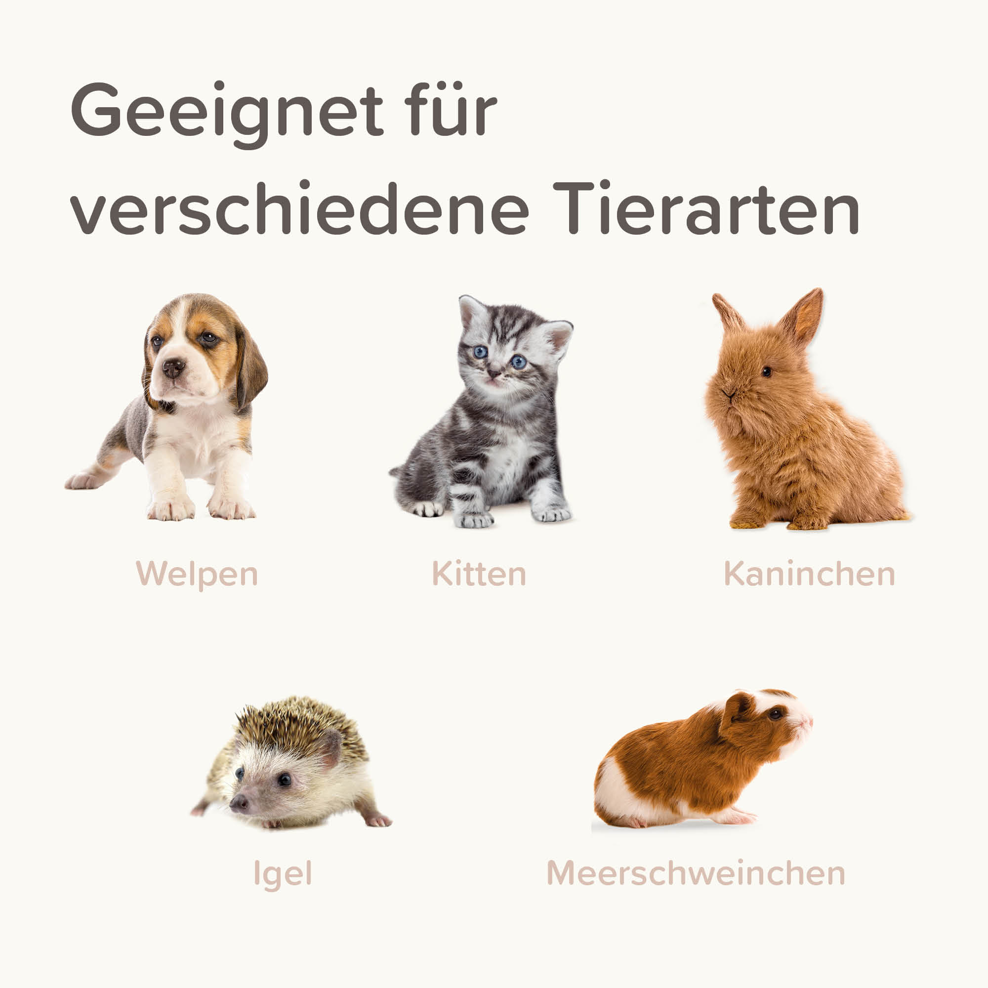 Lactol Fütterungsspritzen, 2 St.