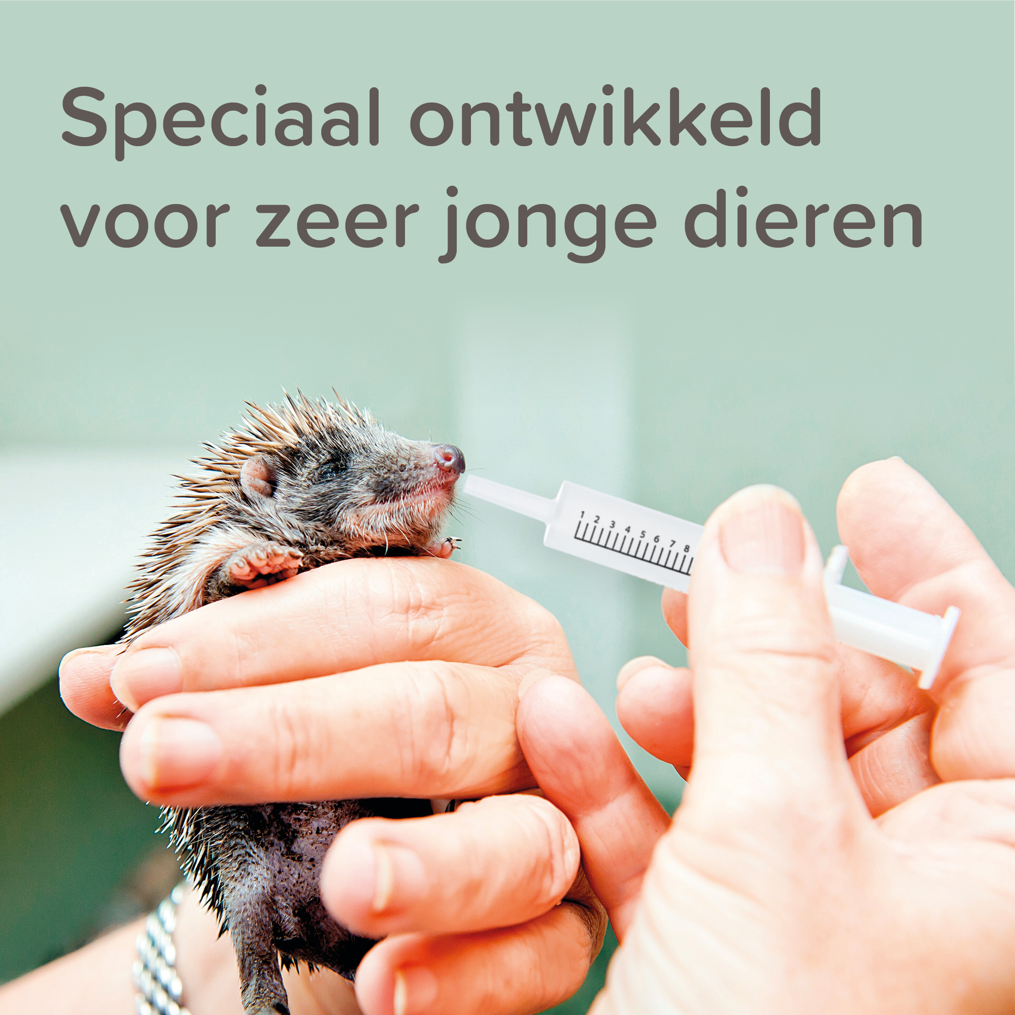 Beaphar Lactol Voederspuitjes 2st