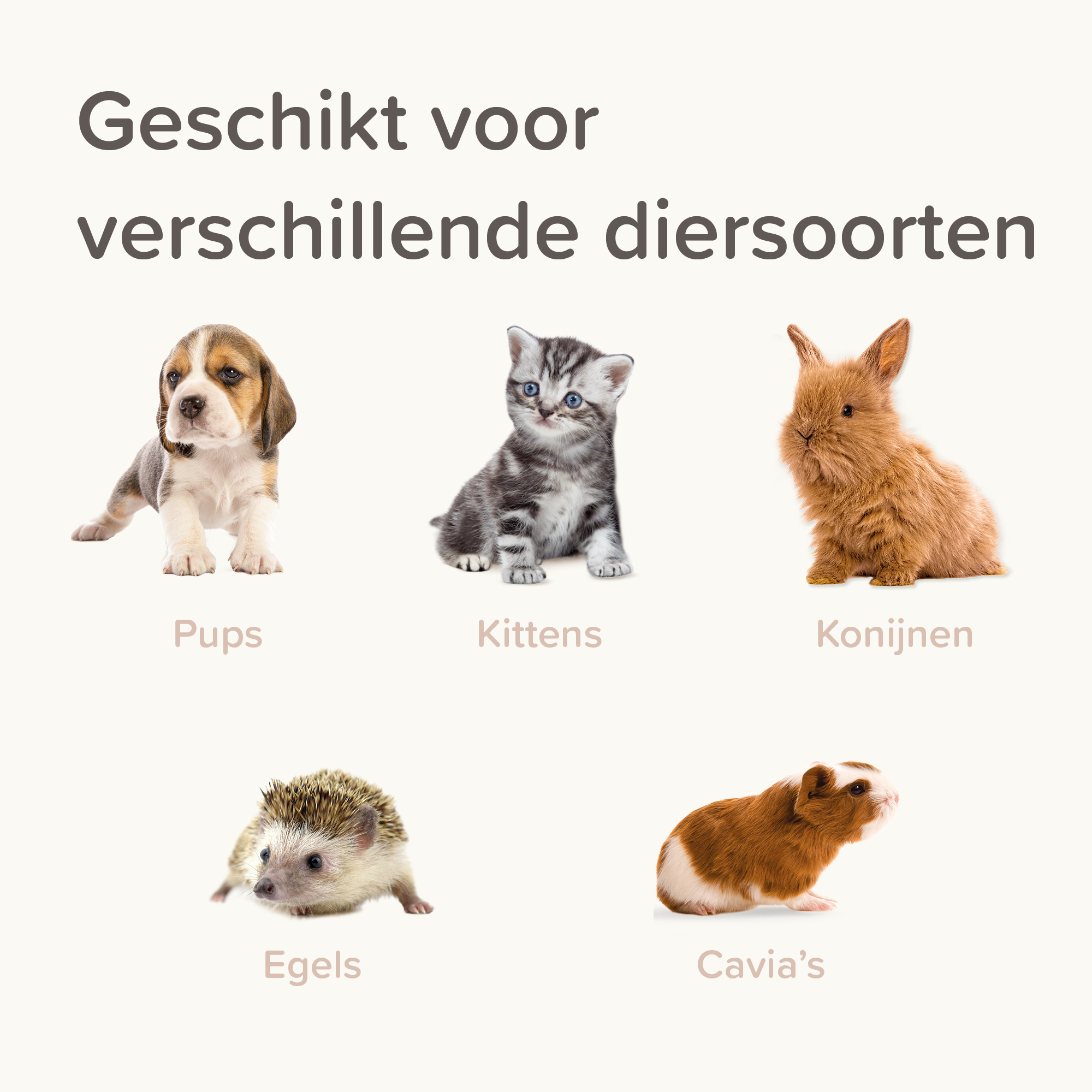 Beaphar Lactol Voederspuitjes 2st