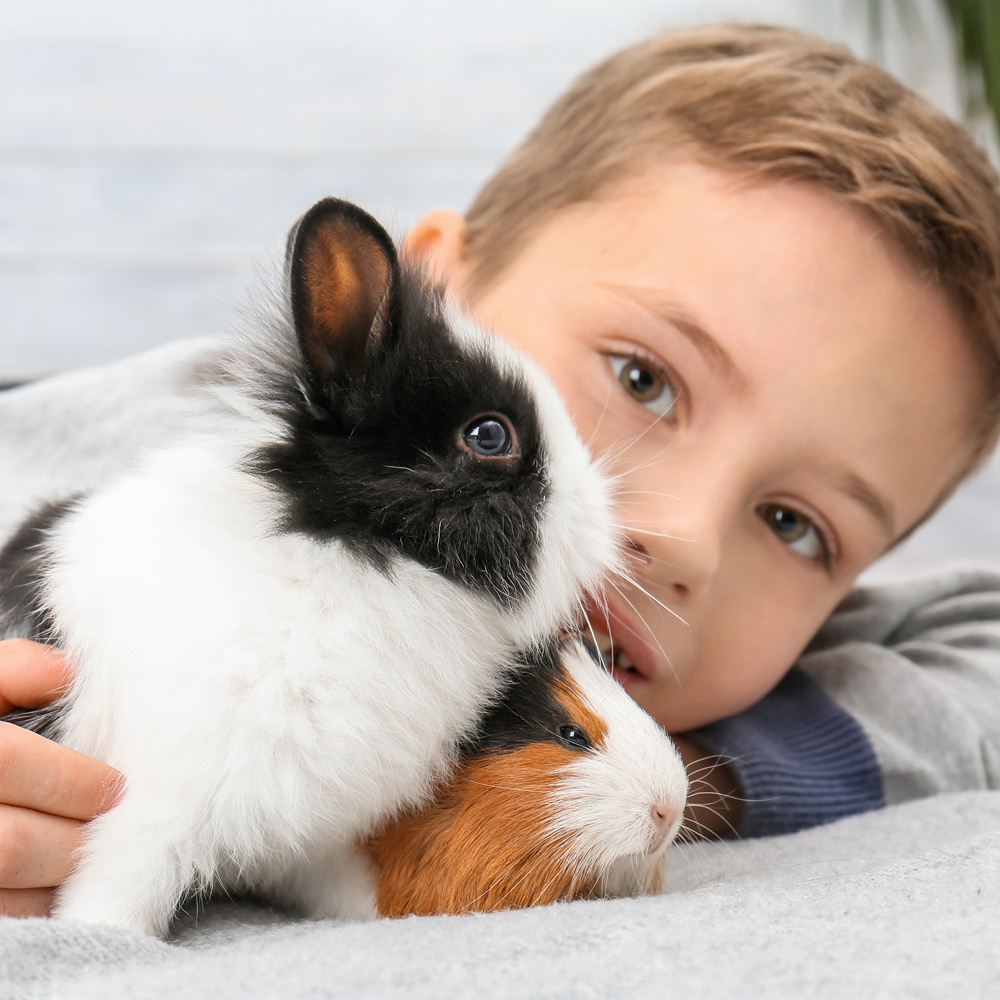 Beaphar Geurstop 600g