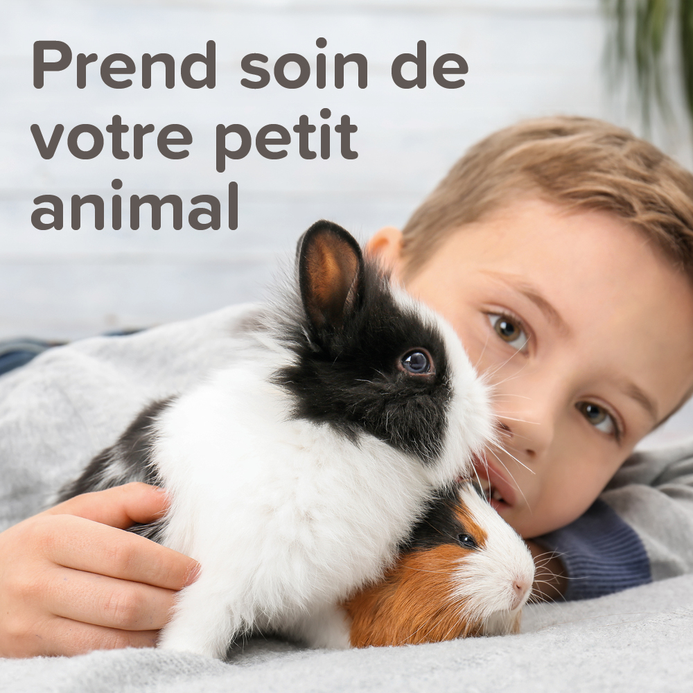 Stop Odeurs, granulés pour la cage