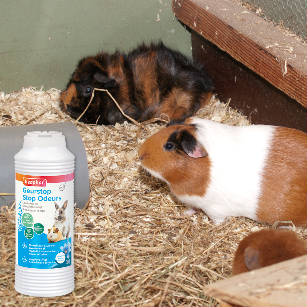 Stop Odeurs, granulés pour la cage