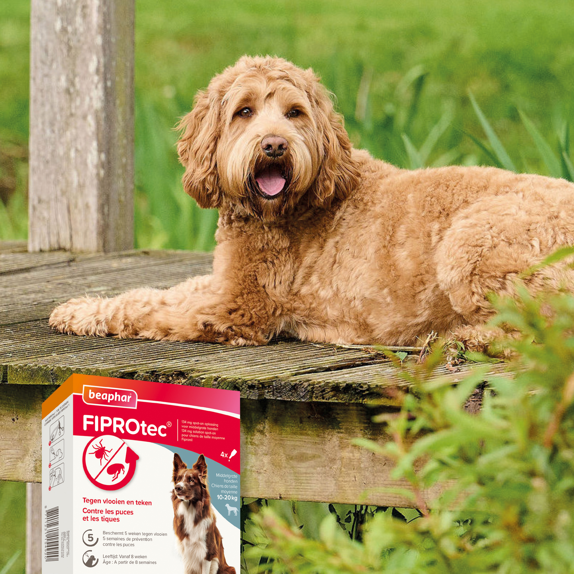 Beaphar FIPROtec® Spot-On hond 10-20kg 4 pipetten