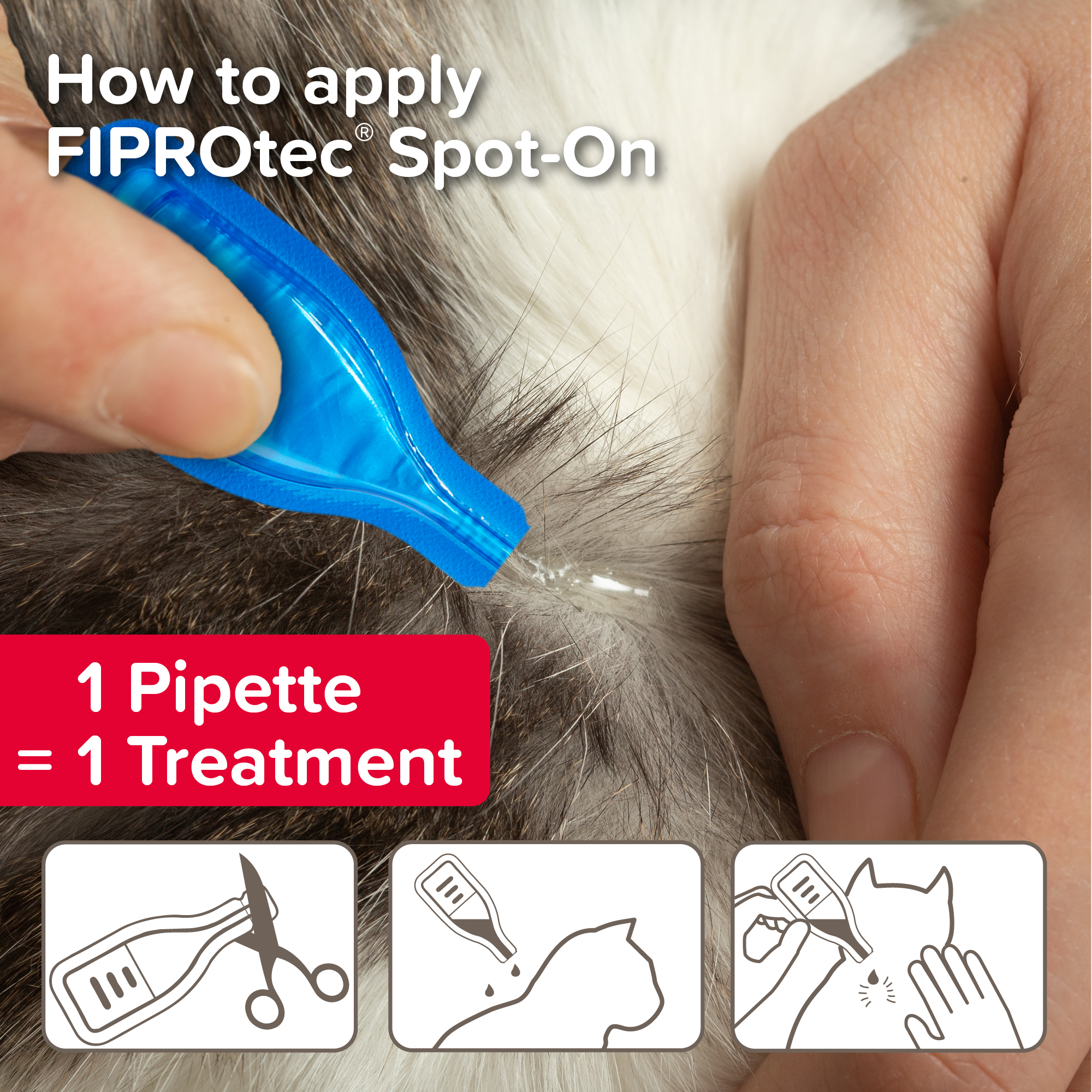 Beaphar FIPROtec® Flea & Tick Spot-On for Cats | 1 Pipette