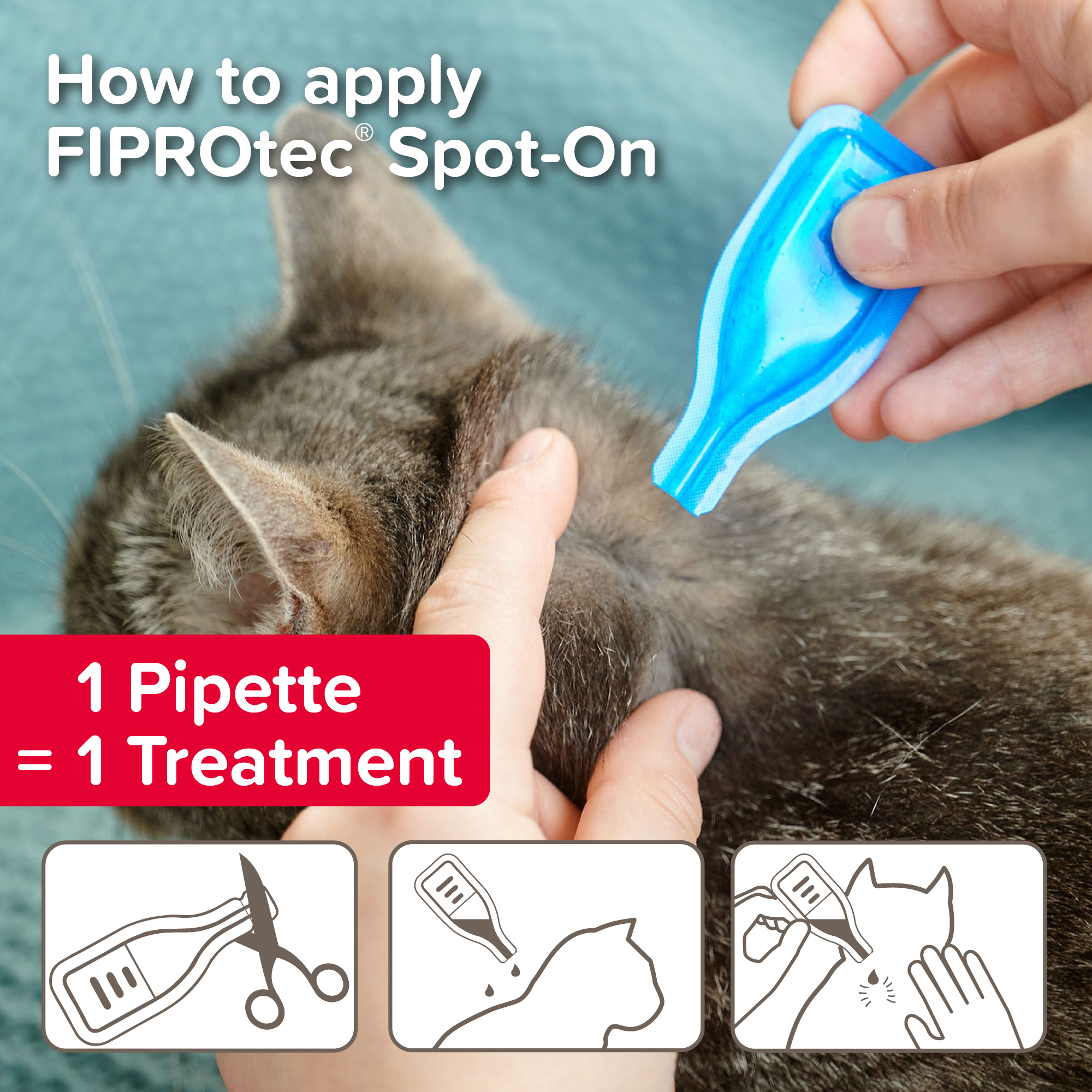 Beaphar FIPROtec® Flea & Tick Spot-On for Cats, 1  Pipette