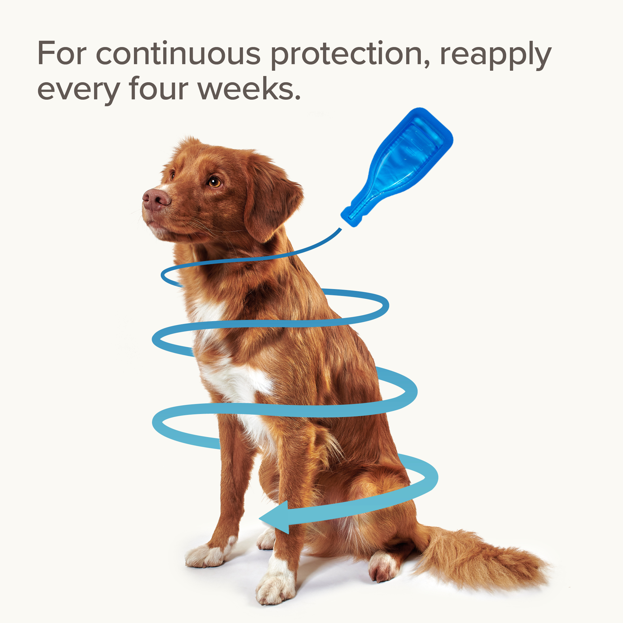 Beaphar FIPROtec® Flea & Tick Spot-On for Medium Dogs (10-20kg), 1 Pipette