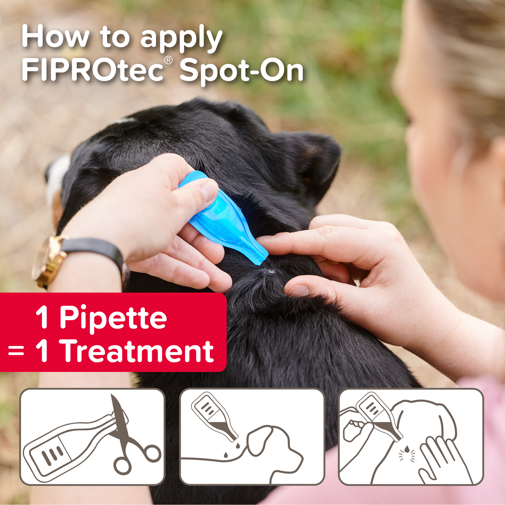 Beaphar FIPROtec® Flea & Tick Spot-On for Medium Dogs (10-20kg), 1 Pipette