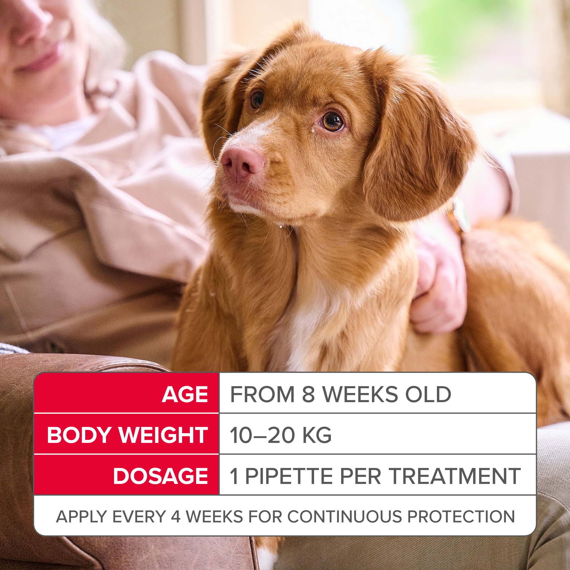 Beaphar FIPROtec® Flea & Tick Spot-On for Medium Dogs (10-20kg), 1 Pipette