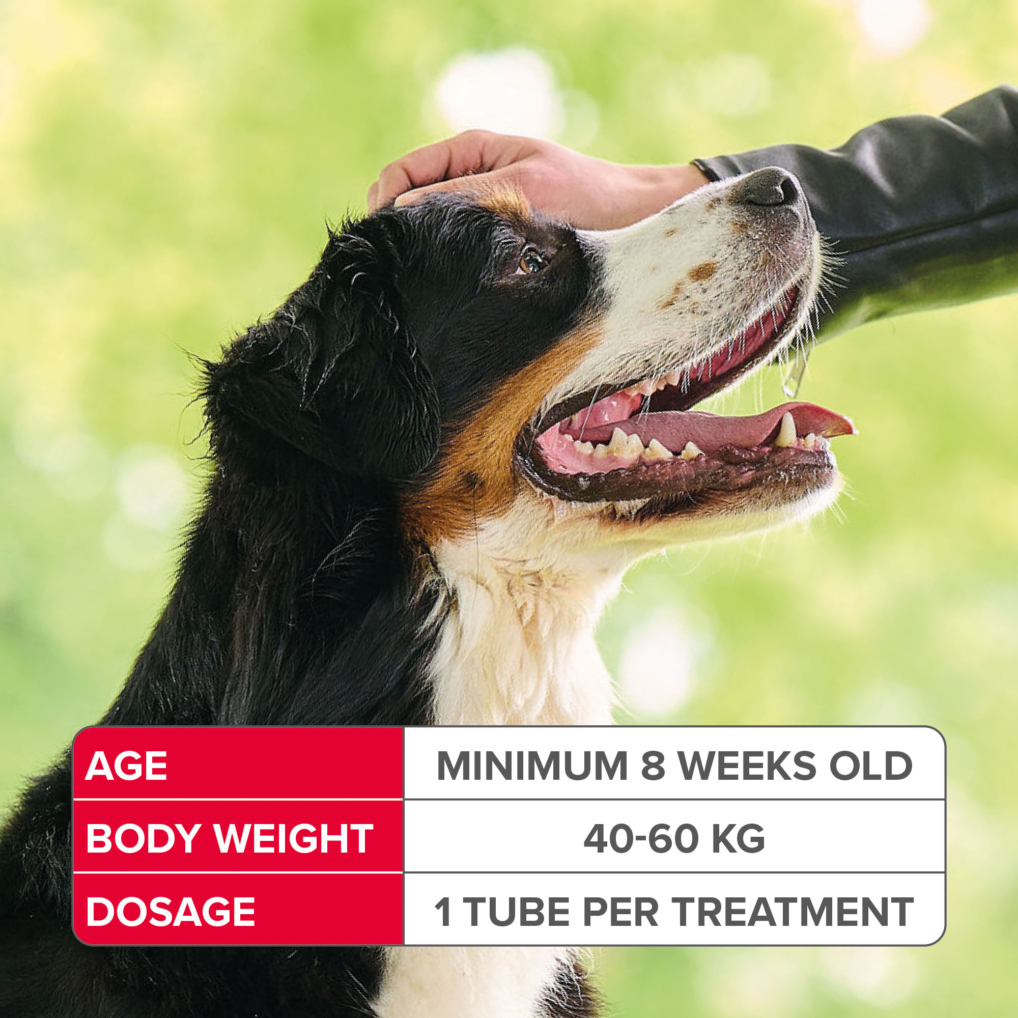 Beaphar FIPROtec® Flea & Tick Spoton For Dogs (>40kg) Beaphar