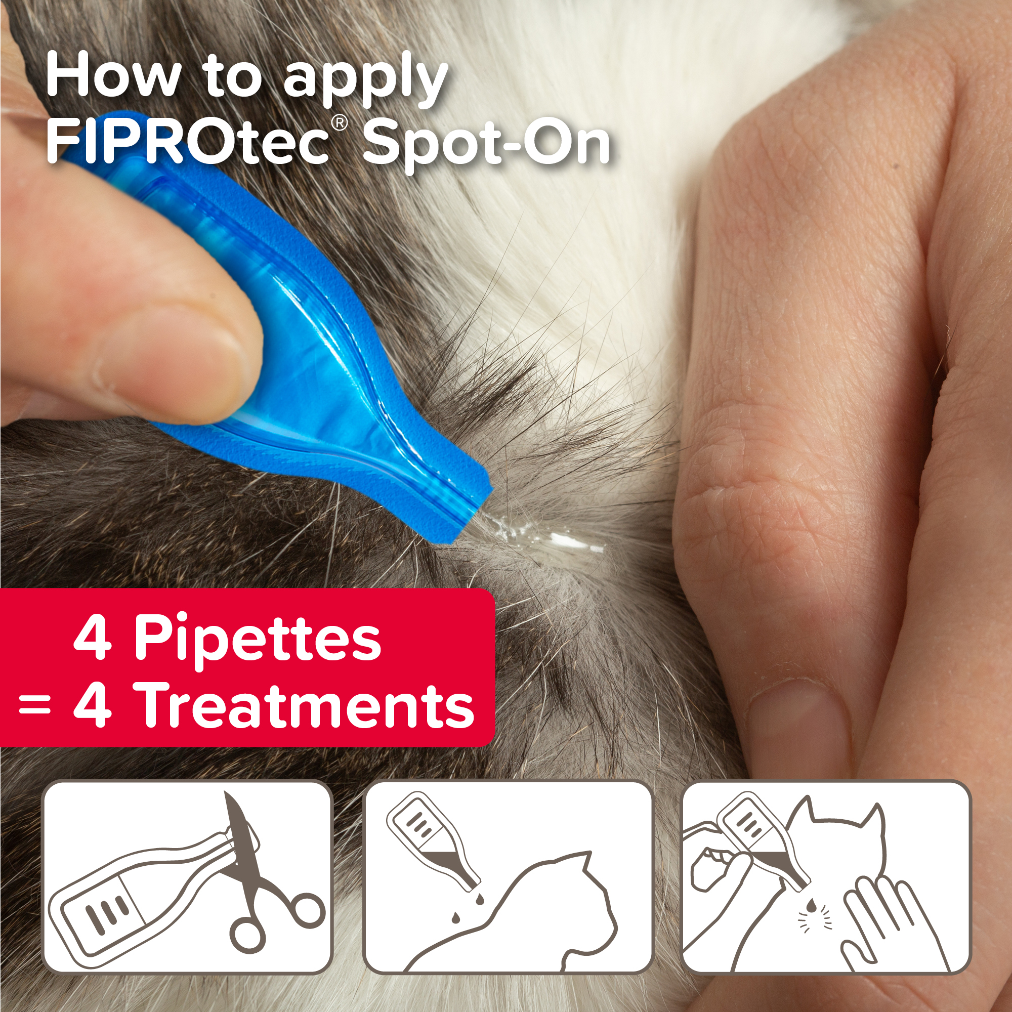 Beaphar FIPROtec® Flea & Tick Spot-On for Cats | 4 Pipettes