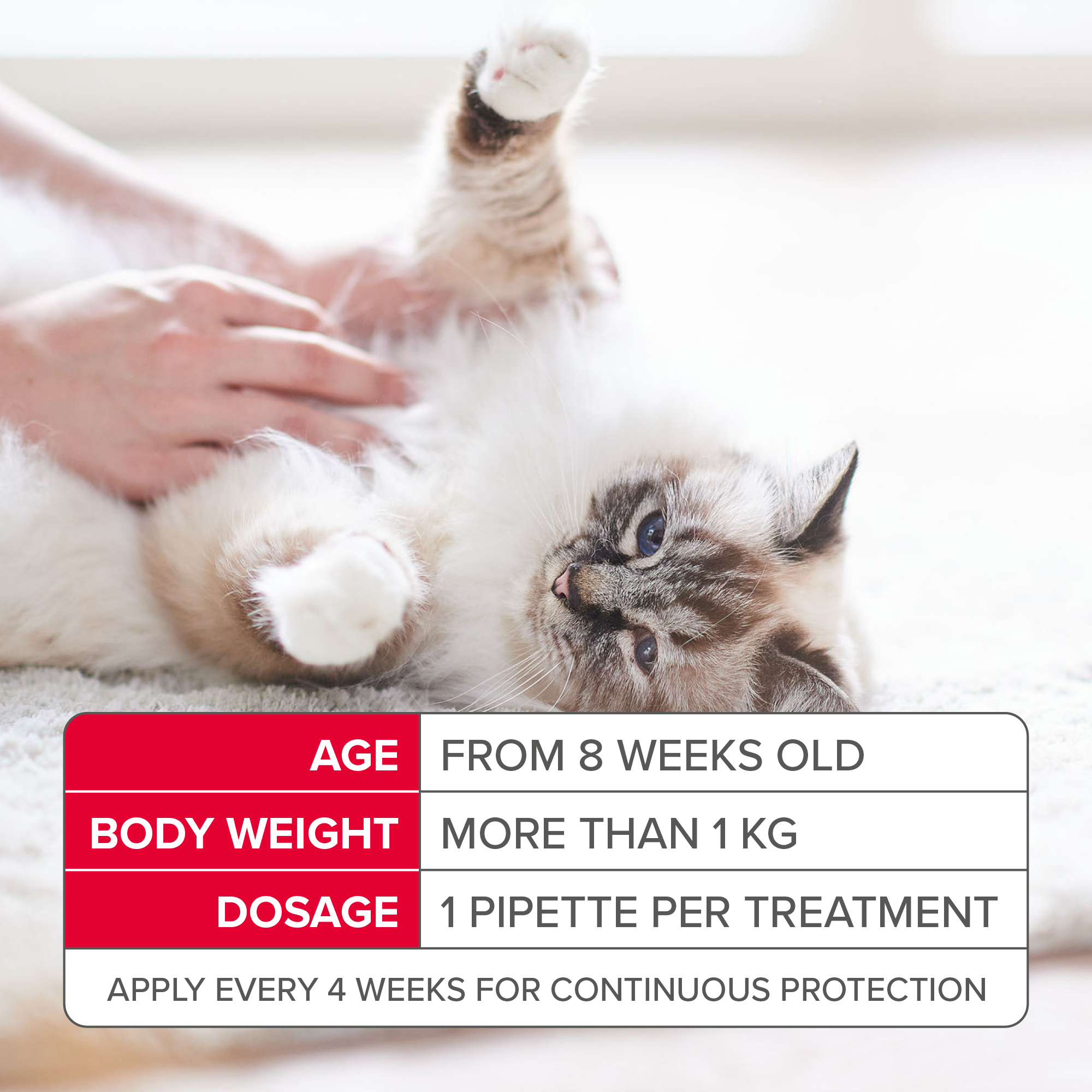 Beaphar FIPROtec® Flea & Tick Spot-On for Cats, 4 Pipettes