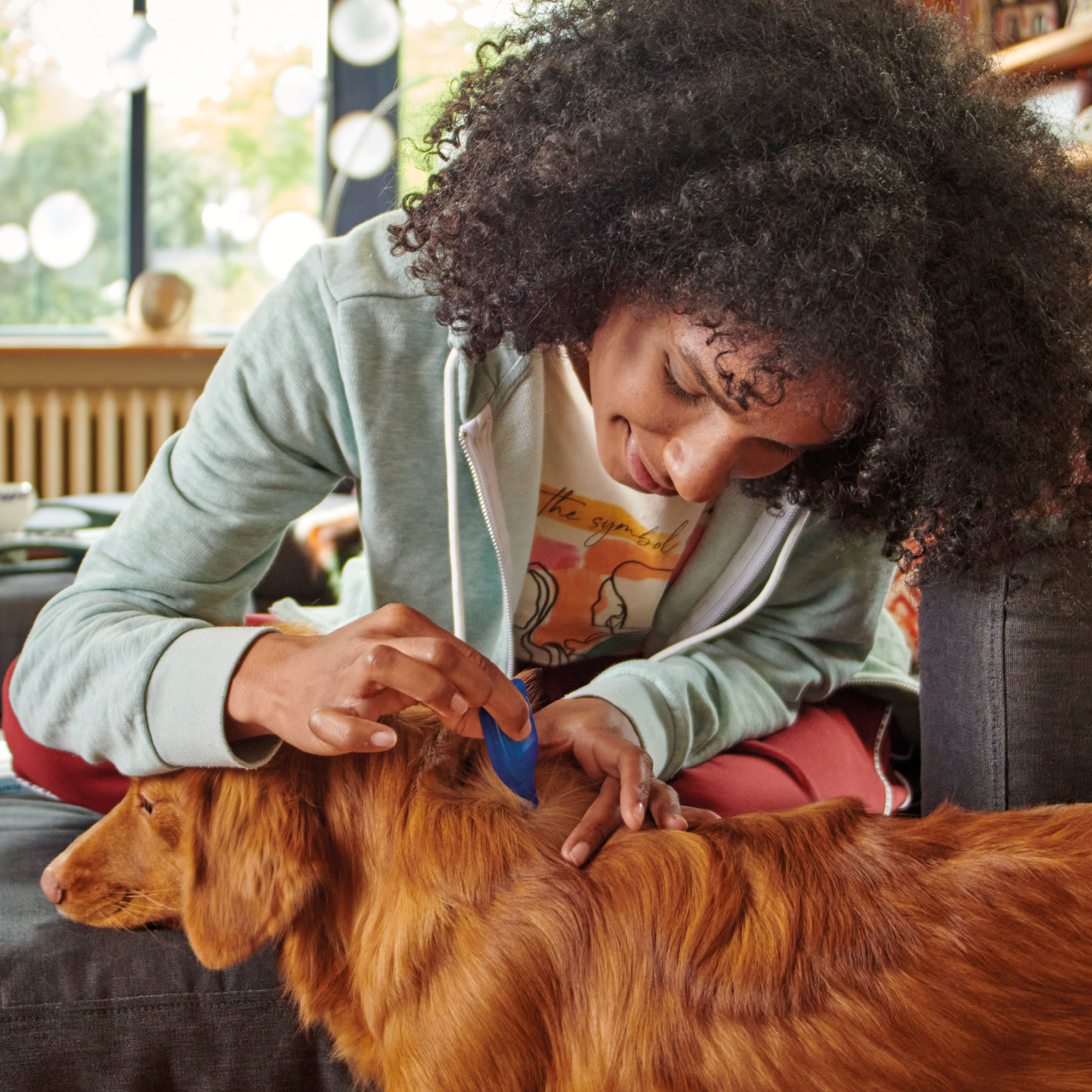 Beaphar FIPROtec® Spot-On Medium Dog