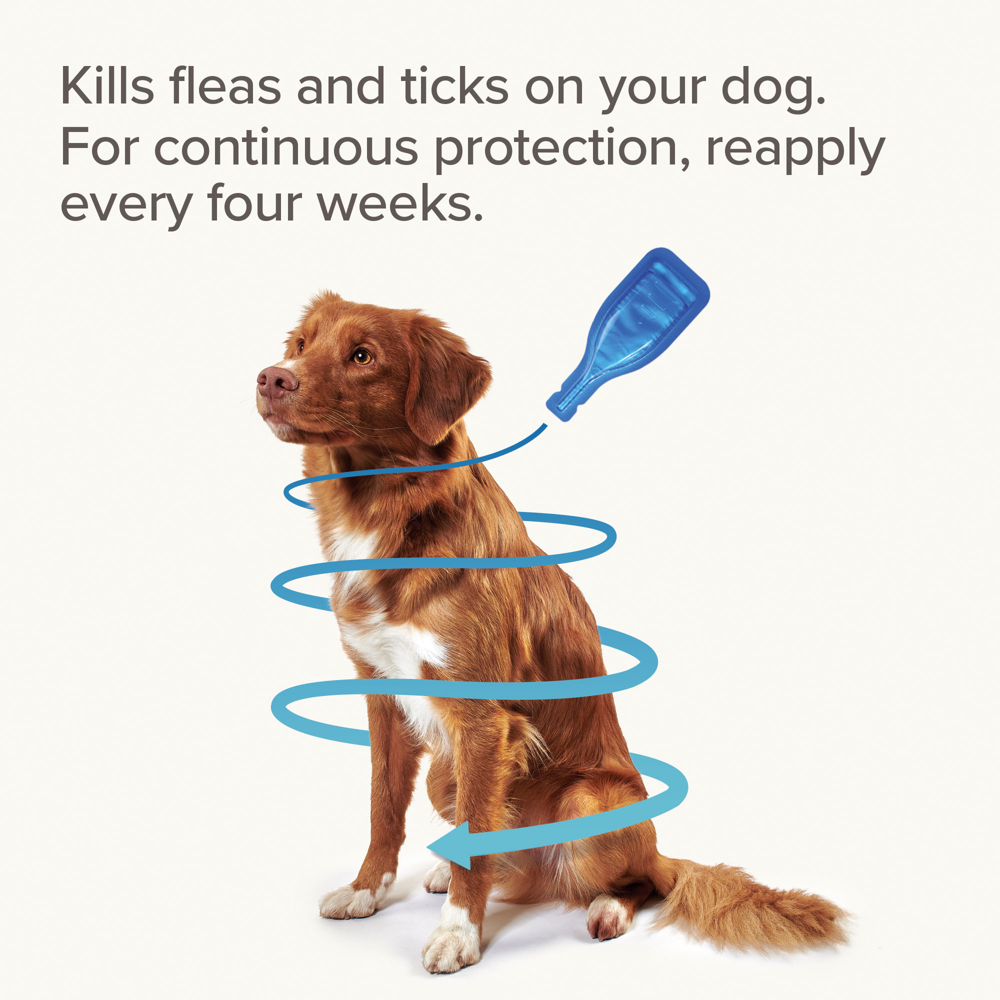 Beaphar FIPROtec® Spot-On Medium Dog