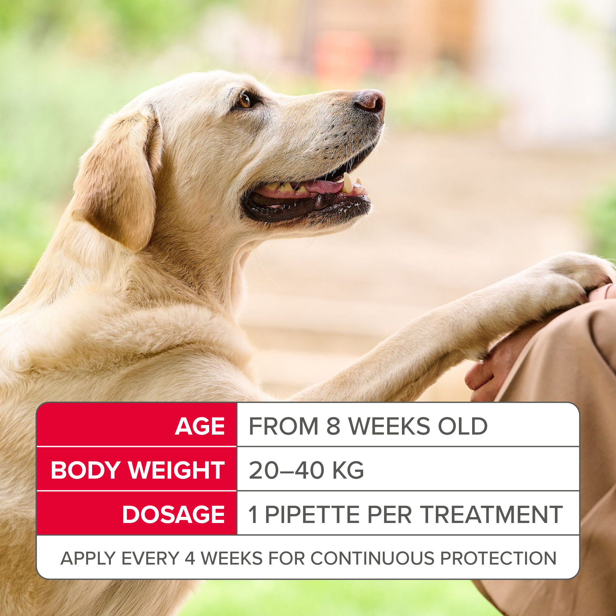 Beaphar FIPROtec® Flea & Tick Spot-On for Large Dogs (20-40kg), 4 Pipettes