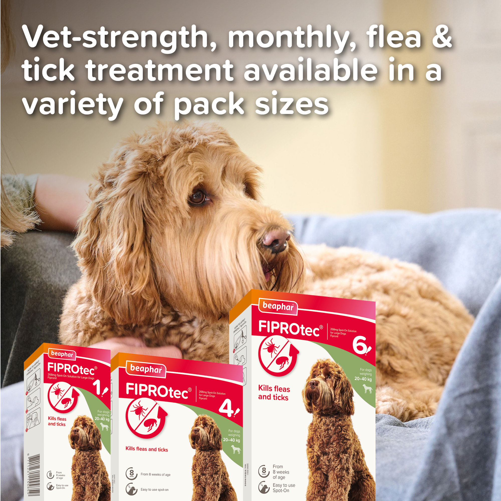 Beaphar FIPROtec® Flea & Tick Spot-On for Large Dogs (20-40kg), 4 Pipettes