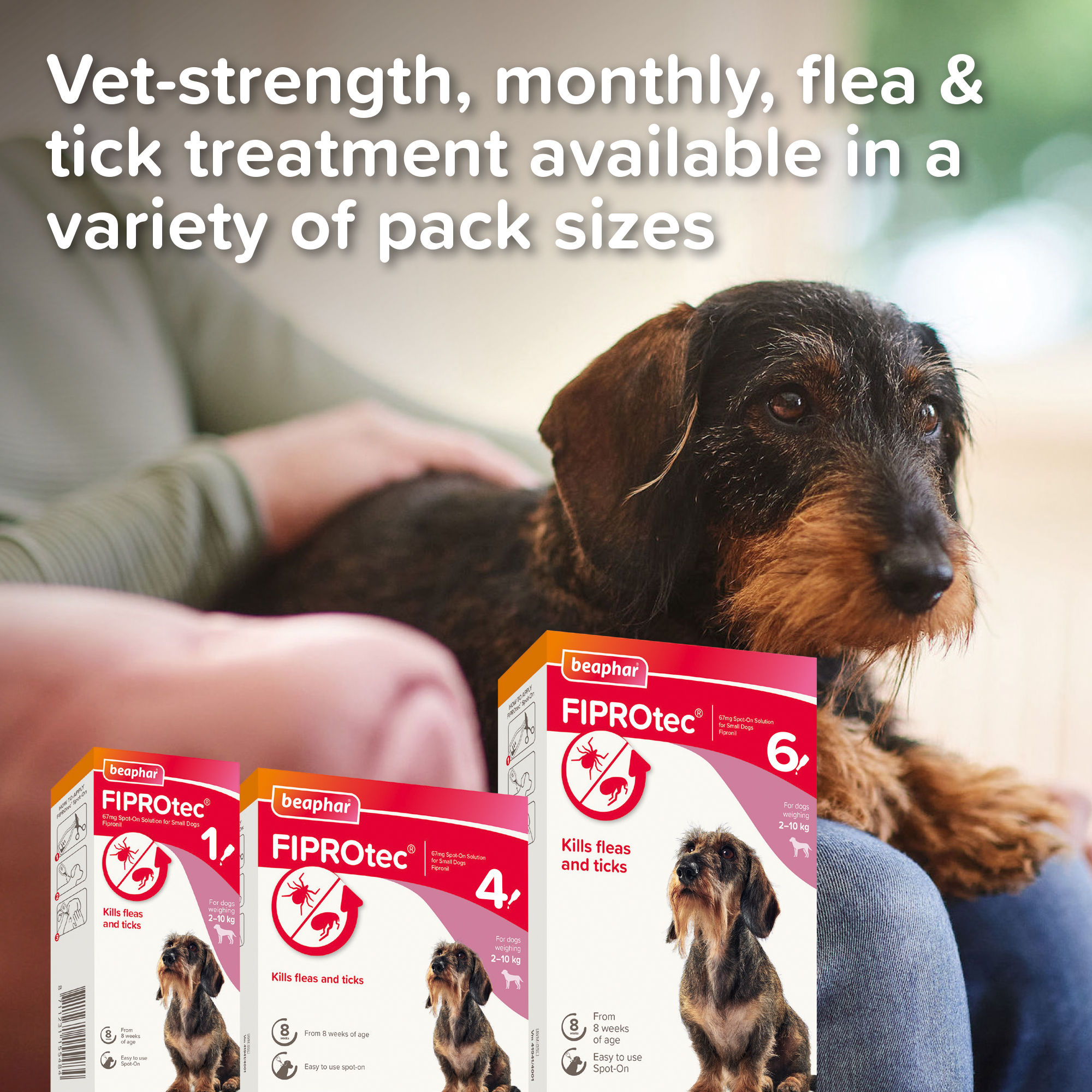 Beaphar FIPROtec® Flea & Tick Spot-On for Small Dogs | 2-10kg | 6 Pipettes