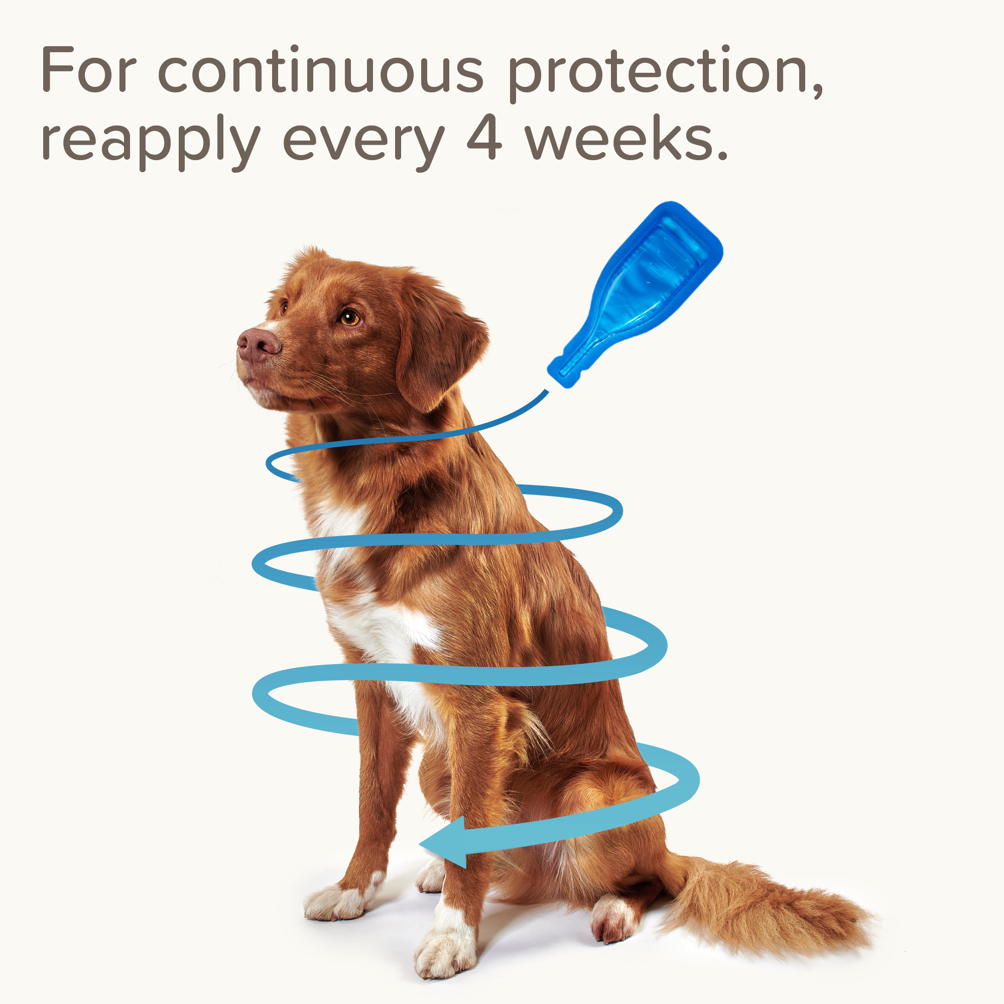 Beaphar FIPROtec® Flea & Tick Spot-On for Small Dogs (2-10kg), 6 Pipettes