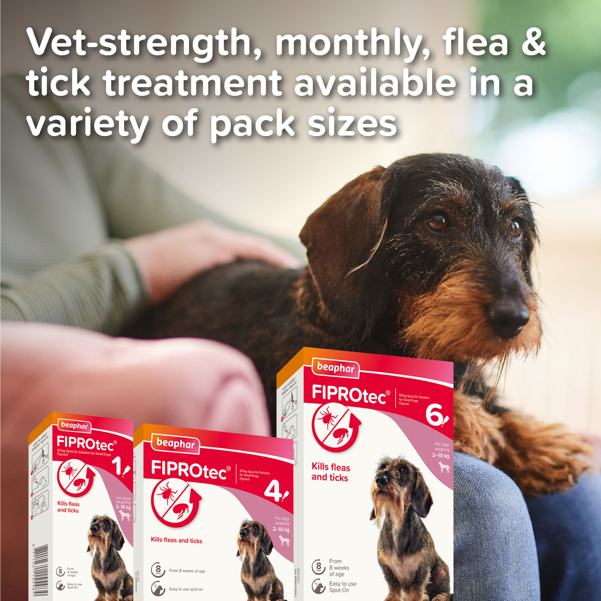 Beaphar FIPROtec® Flea & Tick Spot-On for Small Dogs (2-10kg), 6 Pipettes