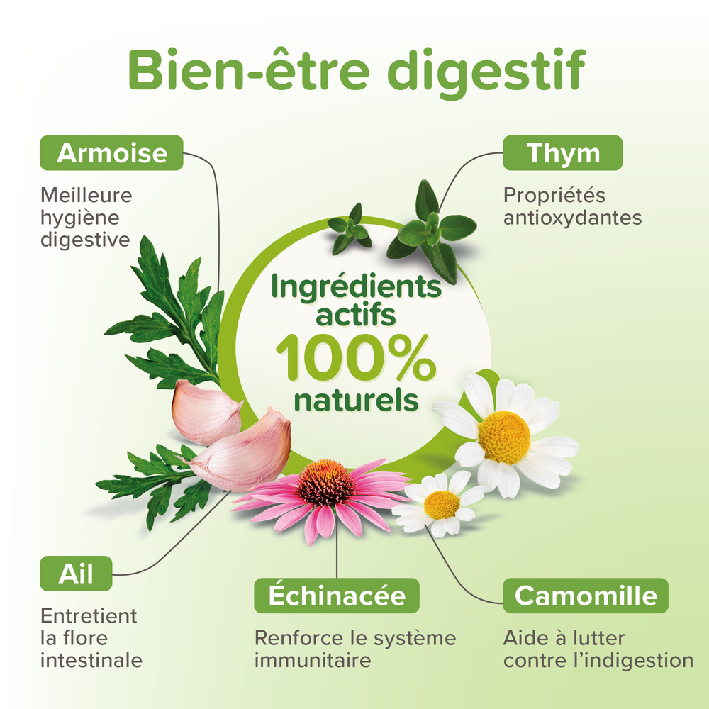 Vermipure, Comprimés pour chien de taille moyenne (> 15kg)