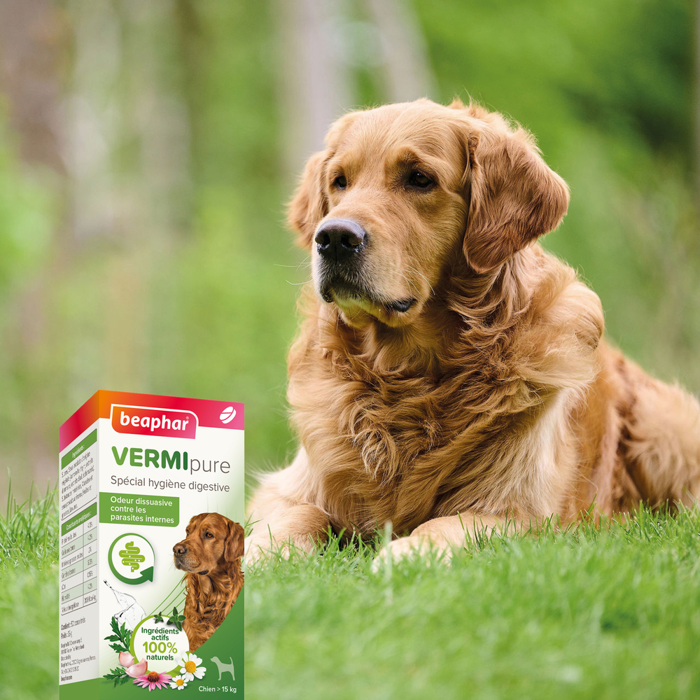Vermipure, Comprimés pour chien de taille moyenne (> 15kg)