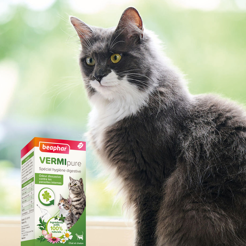 Vermipure Comprimés pour chaton et chat