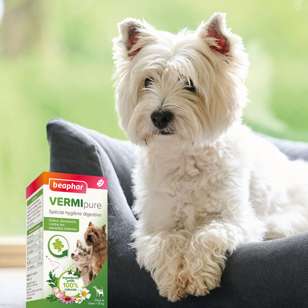 Vermipure, Comprimés pour chiot et petit chien (< 15kg)