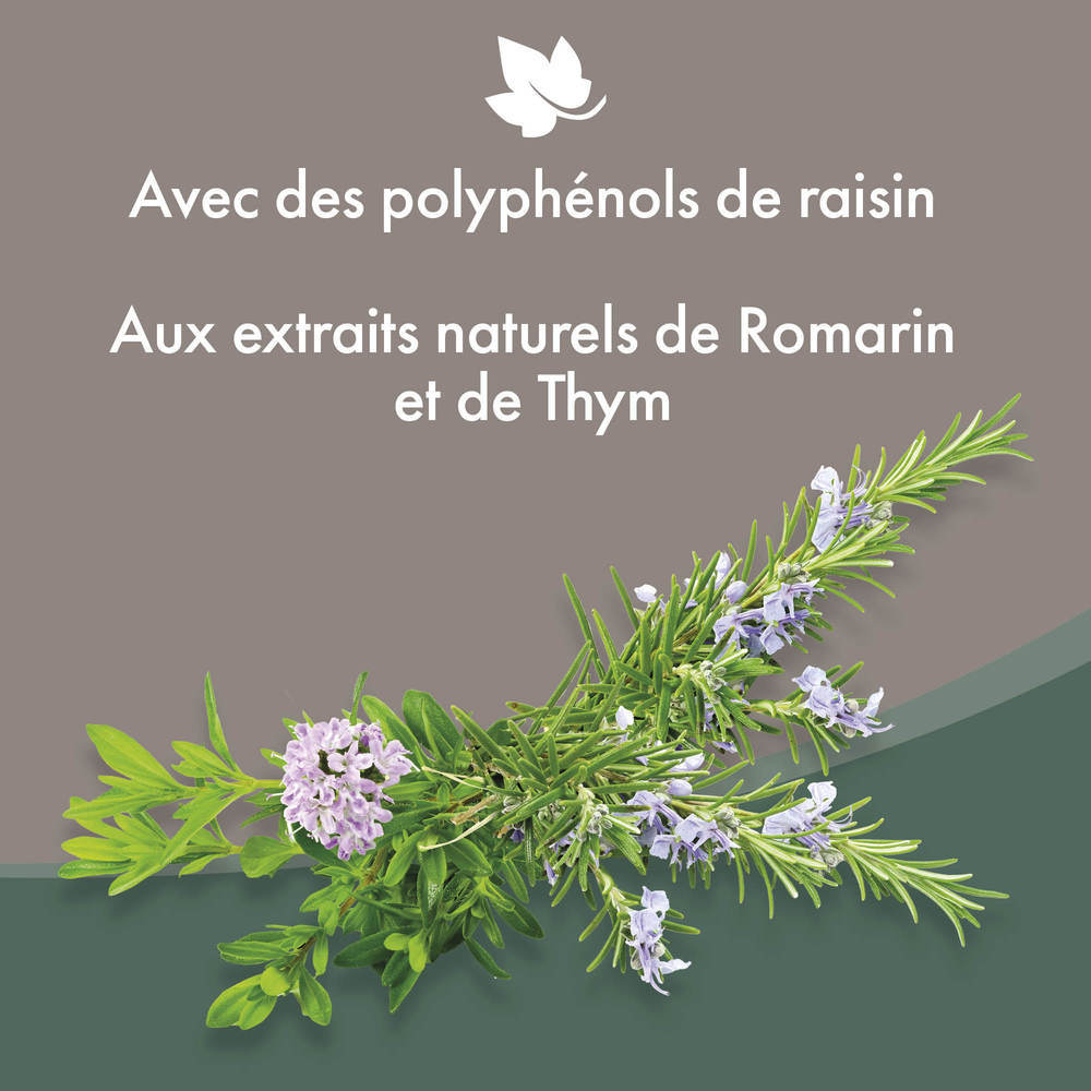 Lait pour les oreilles