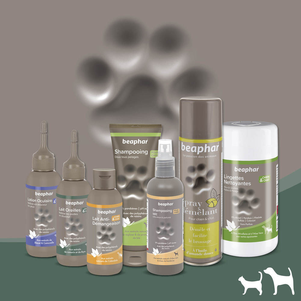 Lait pour les oreilles