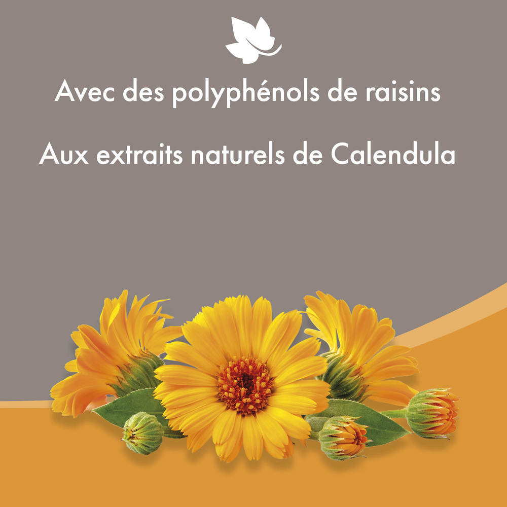 Lait anti-démangeaisons