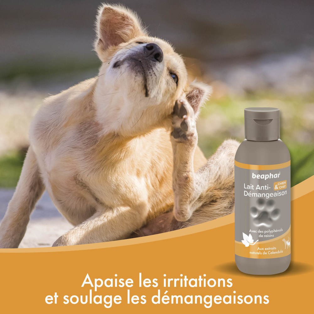 Lait anti-démangeaisons