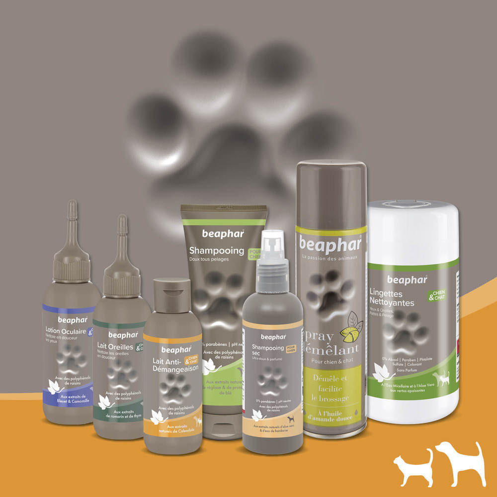 Lait anti-démangeaisons