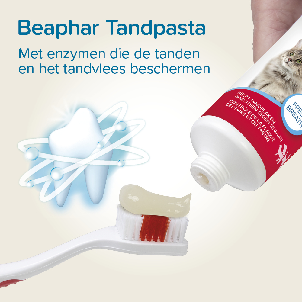 Beaphar Tandpasta 100g