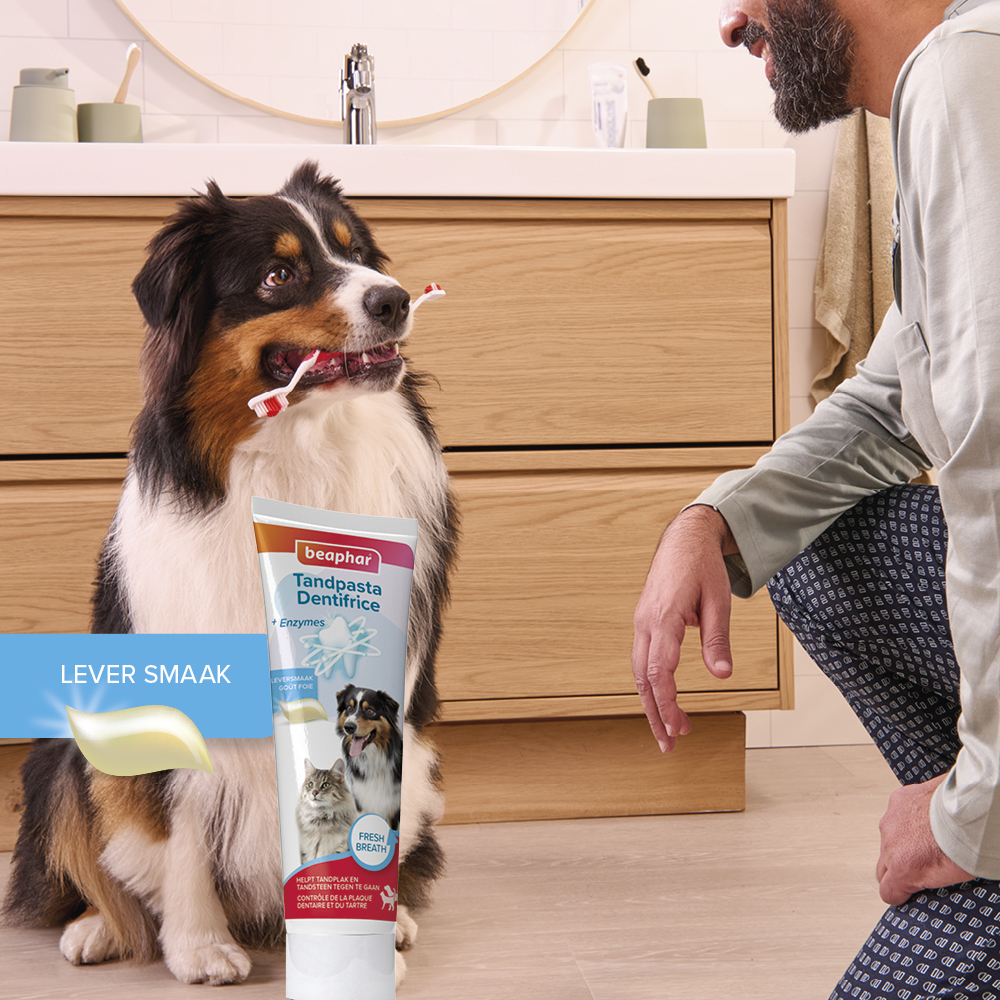 Beaphar Tandpasta 100g