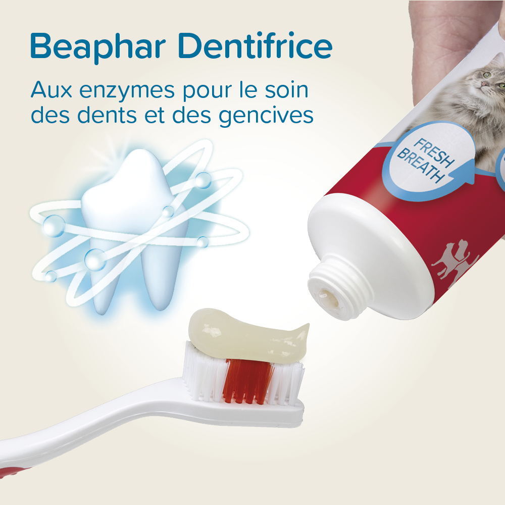Dentifrice pour chien et chat - 100 g