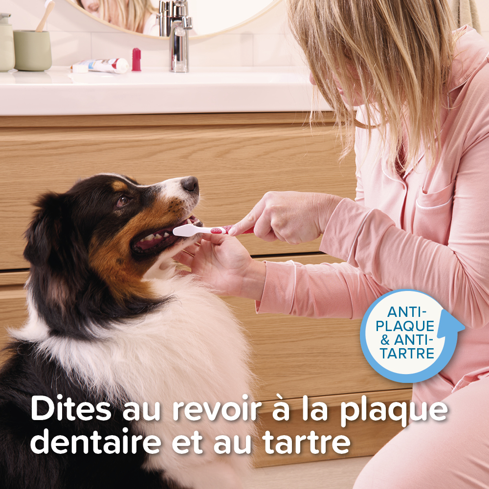 Dentifrice pour chien et chat - 100 g
