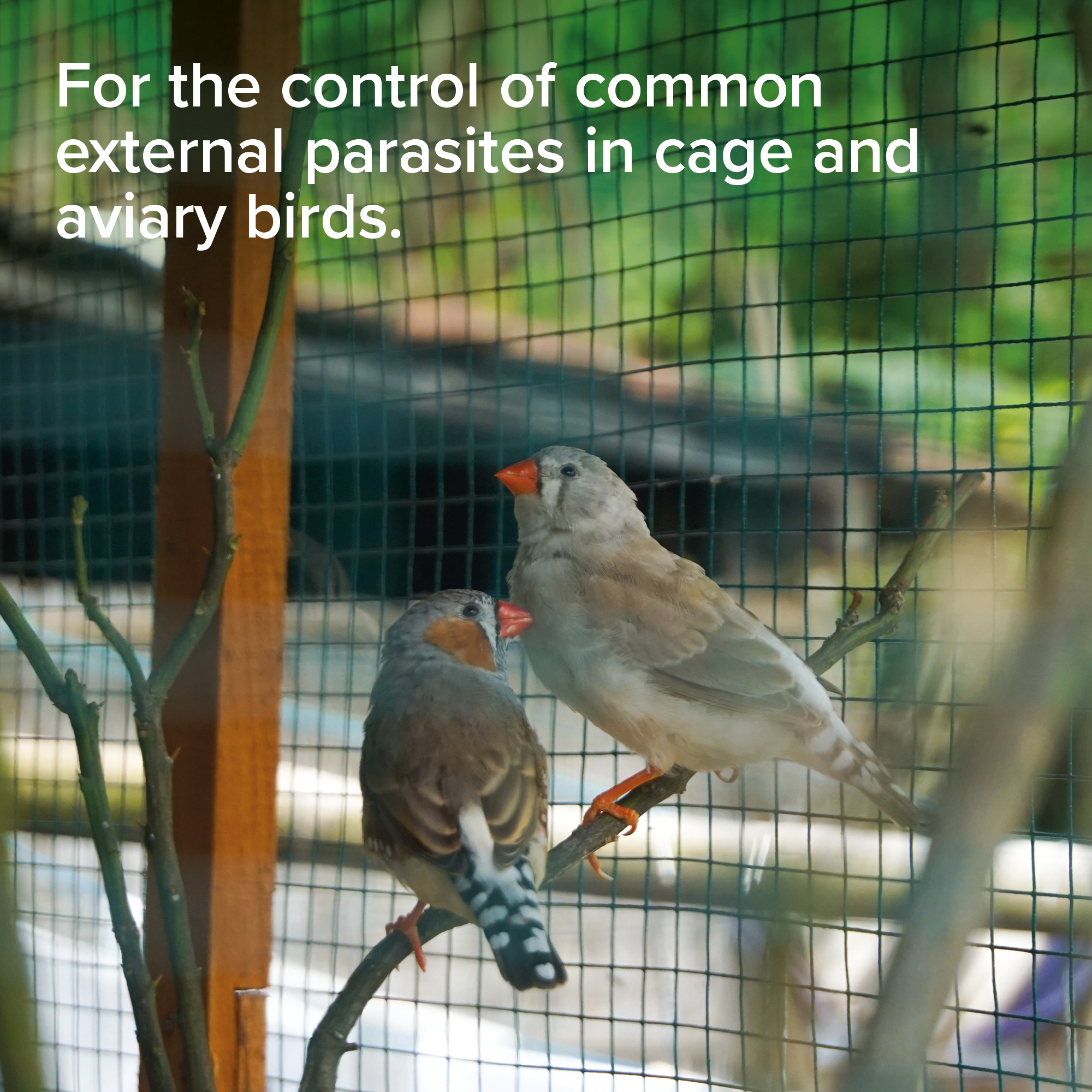 Beaphar Insecticidal Spray for Birds