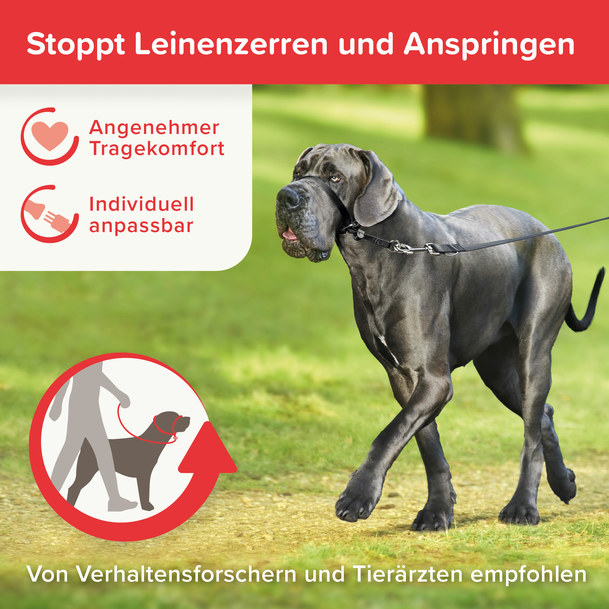 Gentle Leader®, Größe: L, Farbe: schwarz