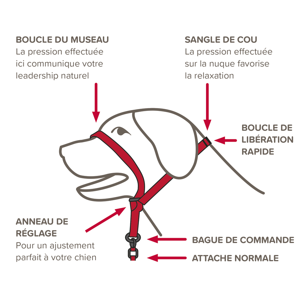 Gentle Leader, collier de dressage pour chien (L)