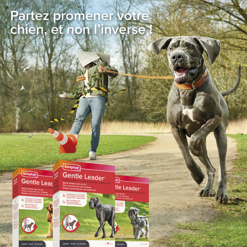 Gentle Leader, collier de dressage pour chien (L)