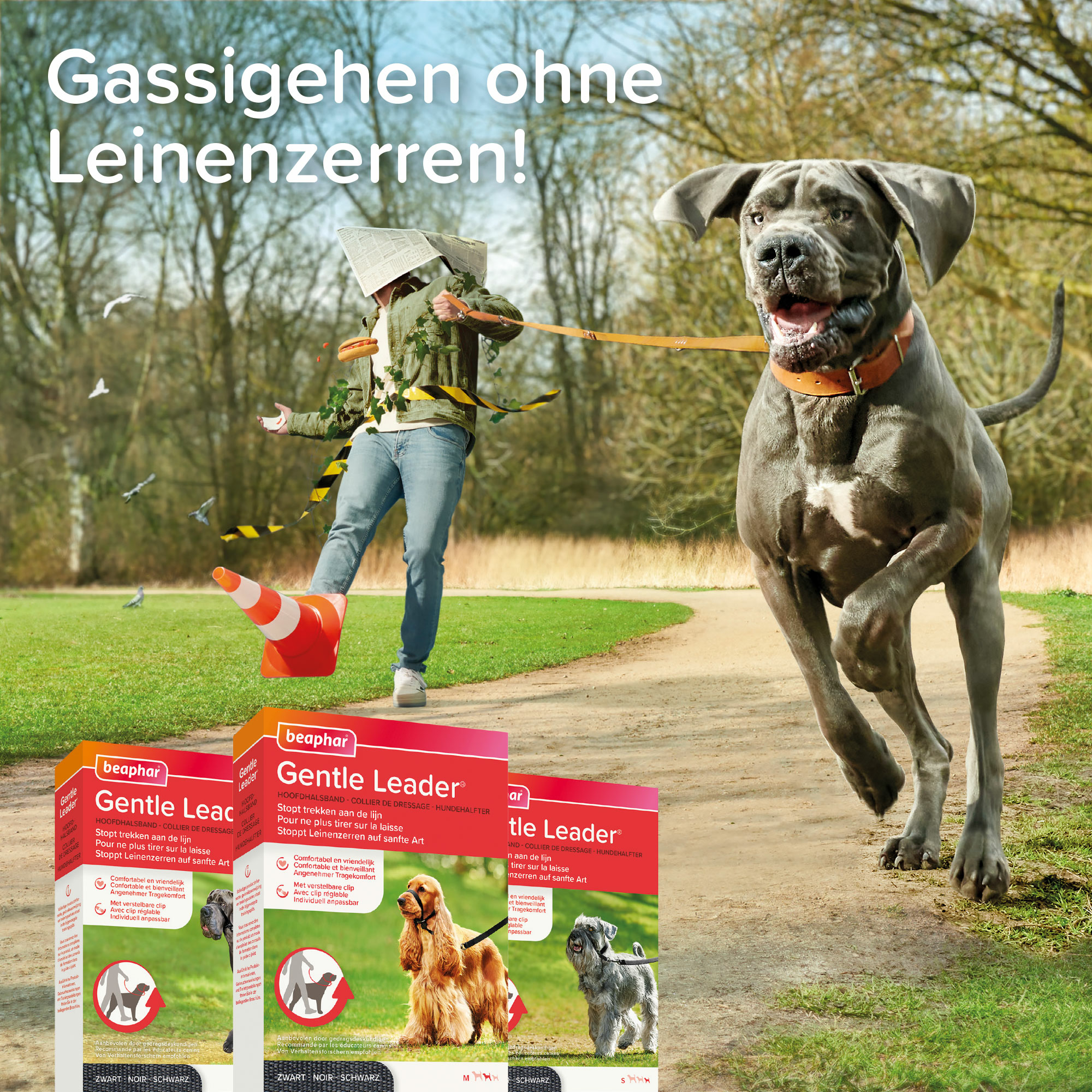 Beaphar Gentle Leader®, Größe: M, Farbe: schwarz