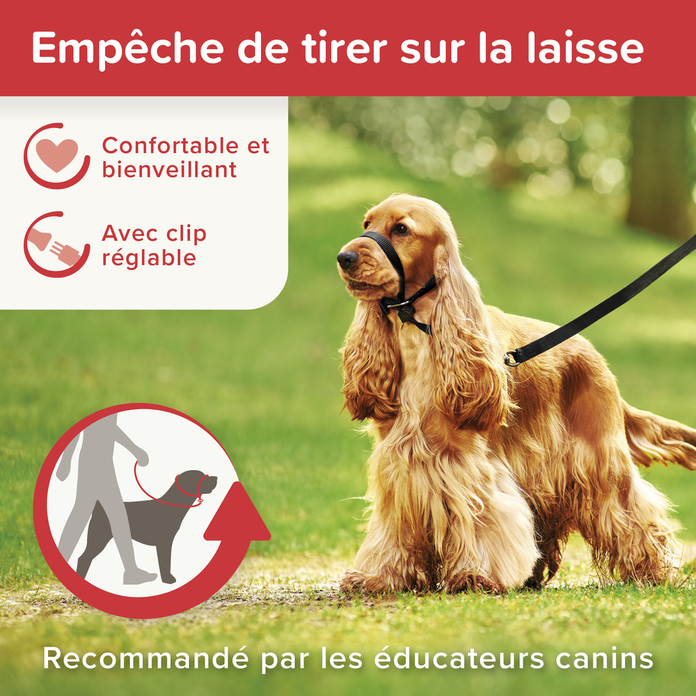 Gentle Leader, collier de dressage pour chien (M)