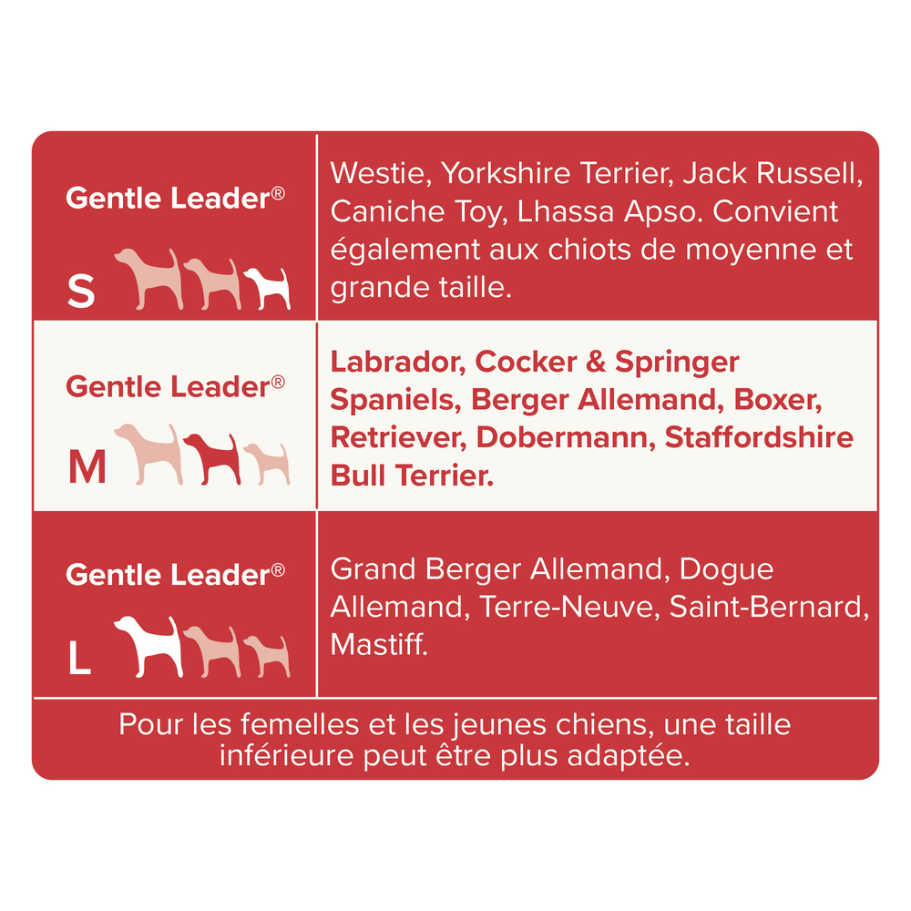 Gentle Leader, collier de dressage pour chien (M)