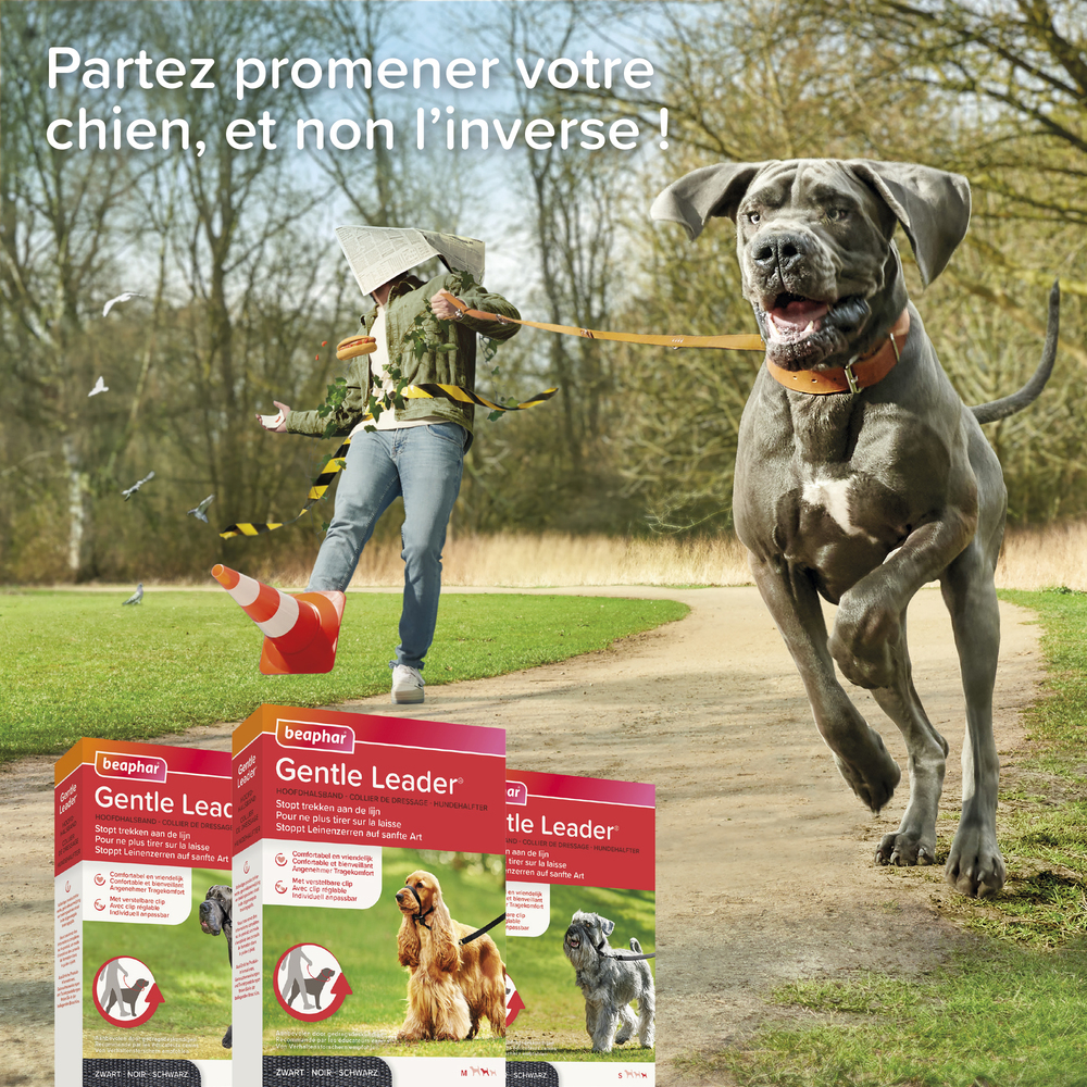 Gentle Leader, collier de dressage pour chien (M)