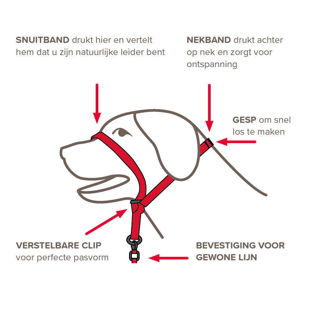 Beaphar Gentle Leader zwart middelgrote hond