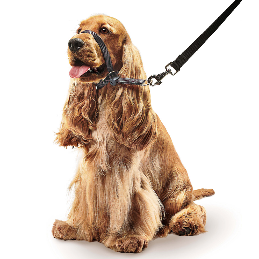 Beaphar Gentle Leader zwart middelgrote hond