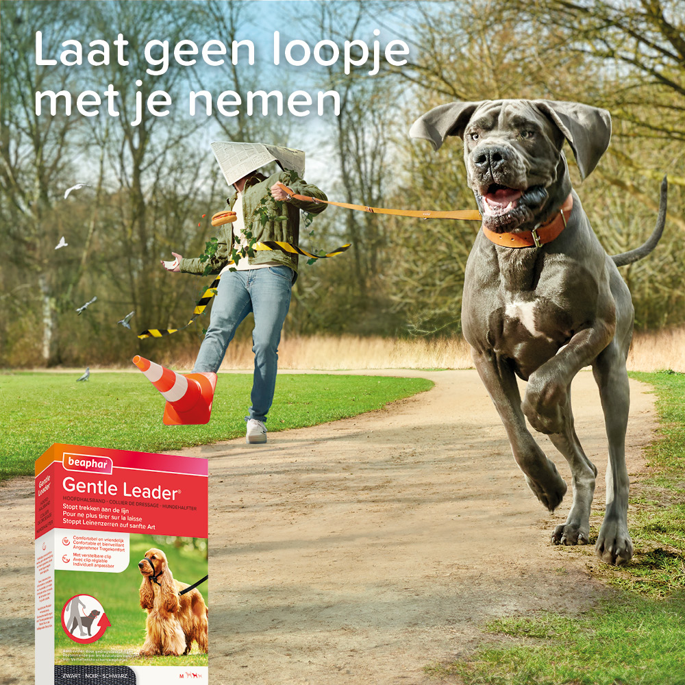 Beaphar Gentle Leader zwart middelgrote hond