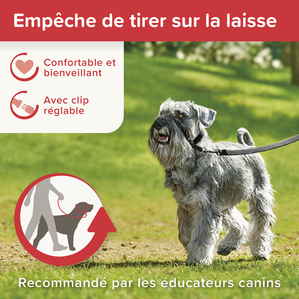 Gentle Leader, collier de dressage pour chien (S)