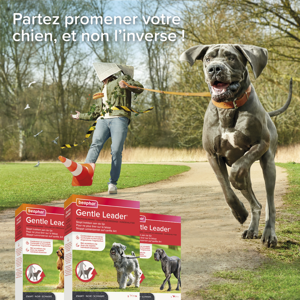 Gentle Leader, collier de dressage pour chien (S)