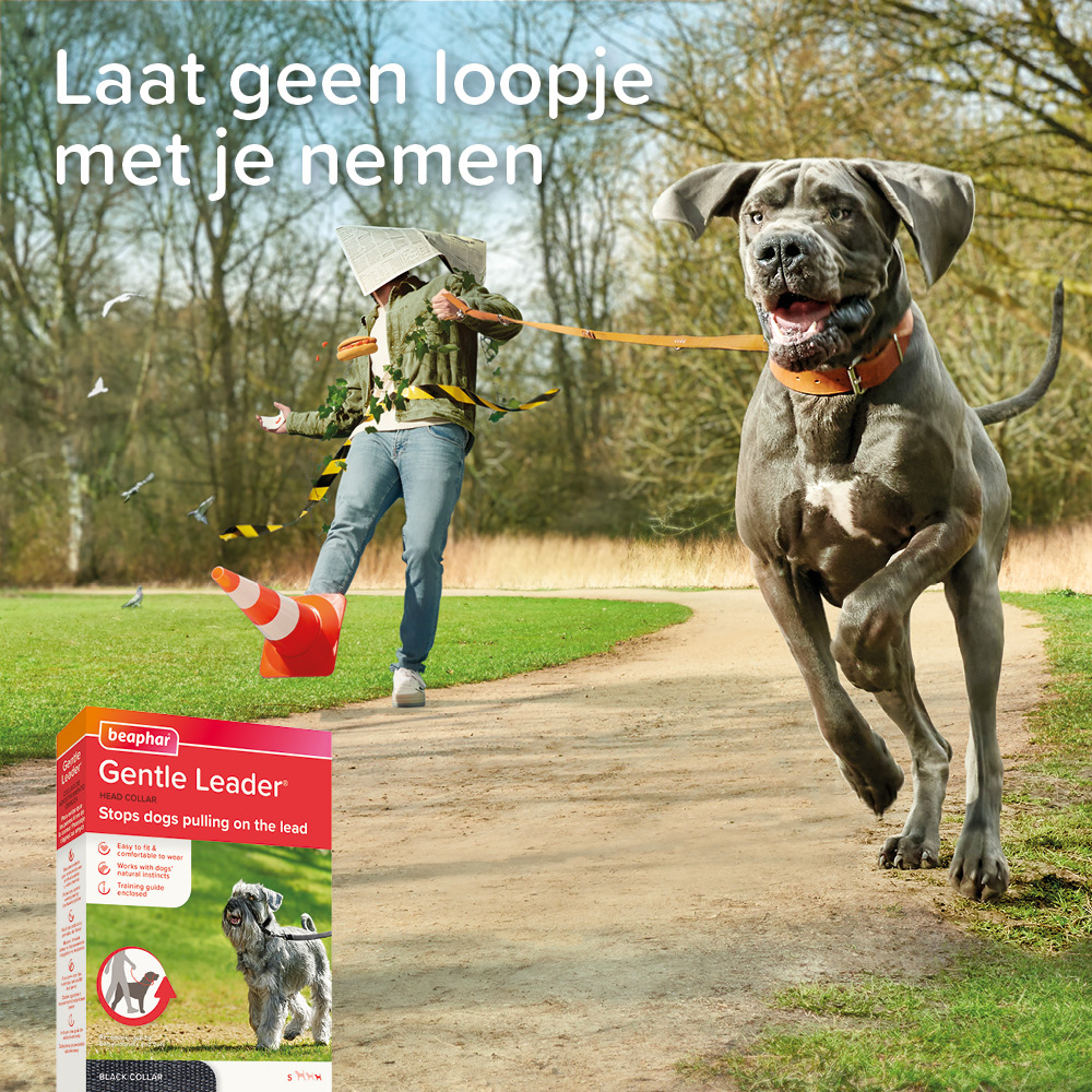 Beaphar Gentle Leader zwart kleine hond/puppy